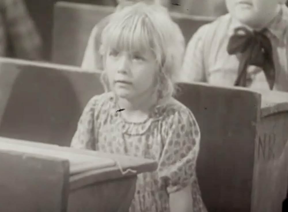 ヴァージニアンの画像