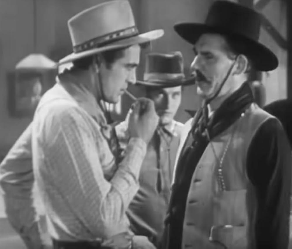 ヴァージニアンの画像