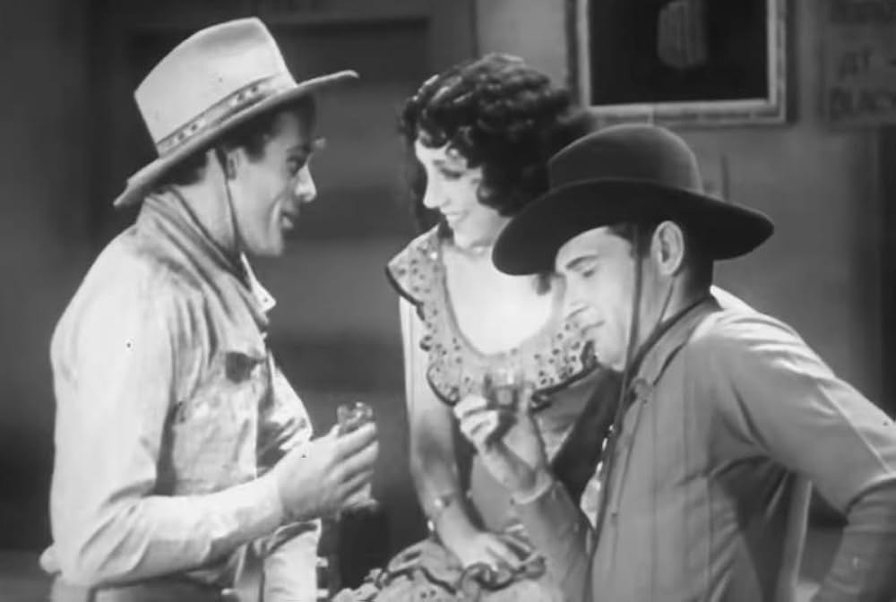 ヴァージニアンの画像