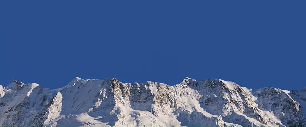 フレンチアルプスで起きたことの画像