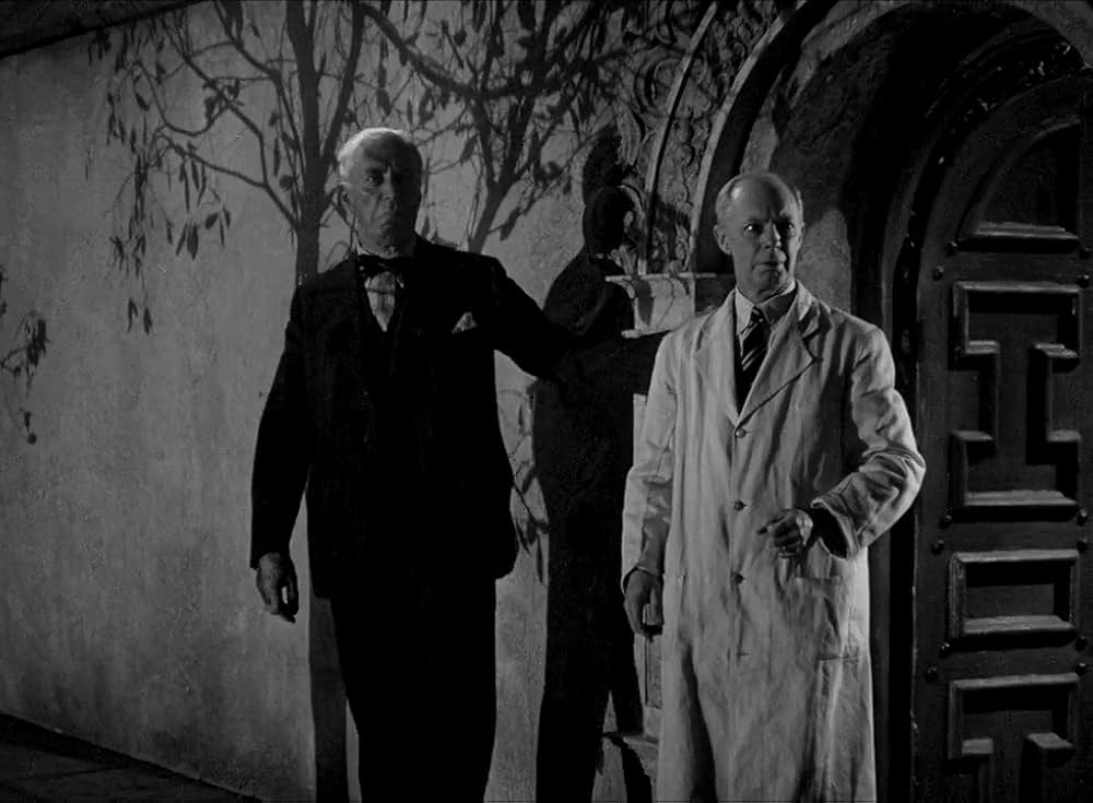 秘密警察の罠の画像