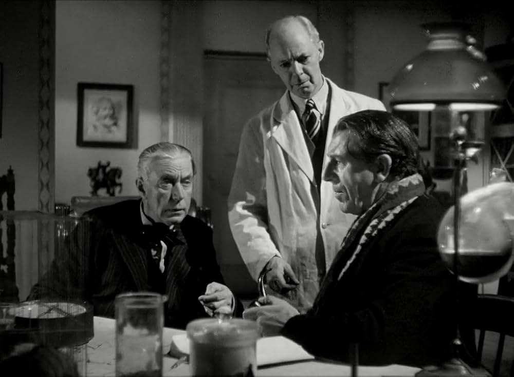 秘密警察の罠の画像