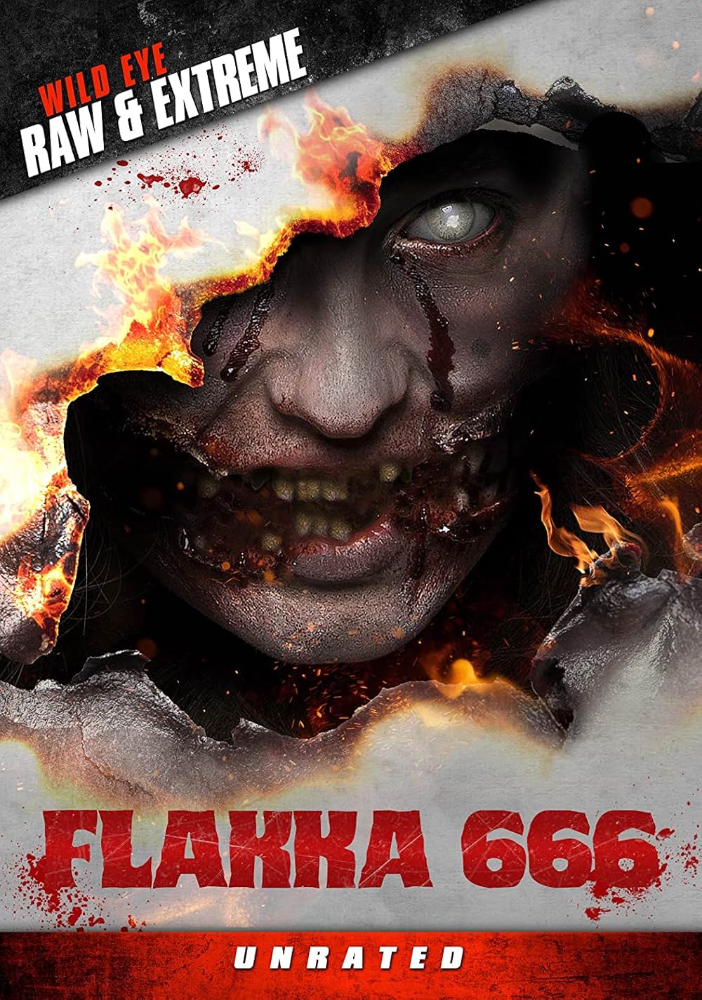 「Flakka 666（原題）」の画像