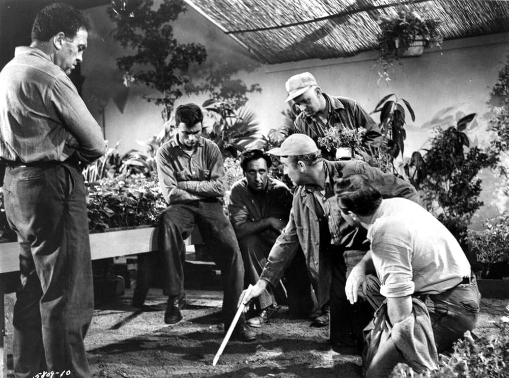 暁の暴動の画像