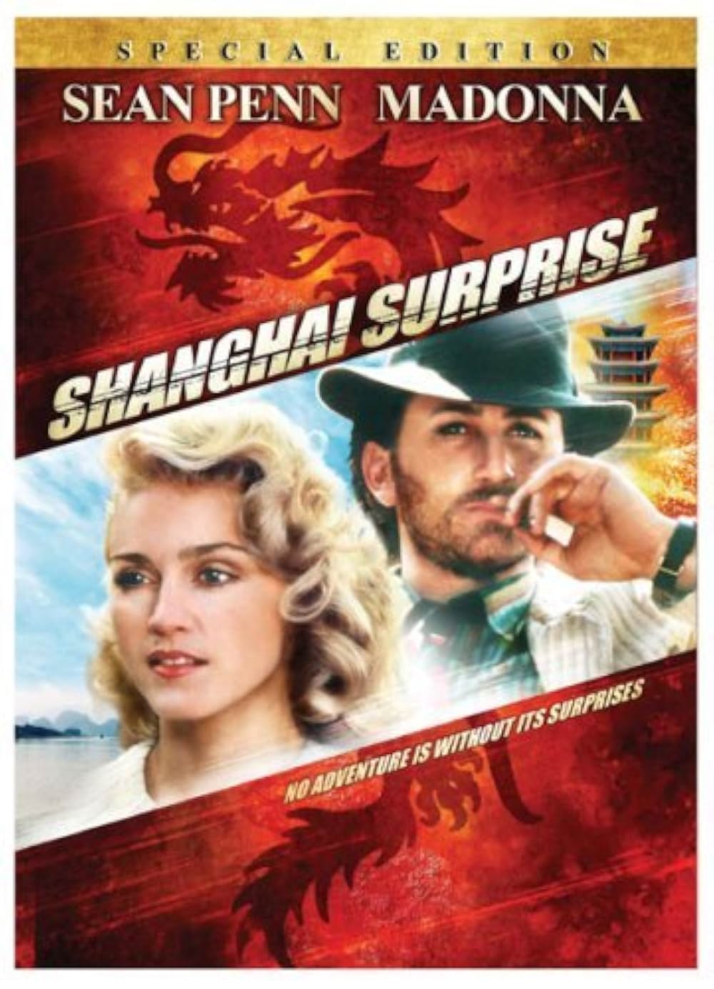 上海サプライズの画像