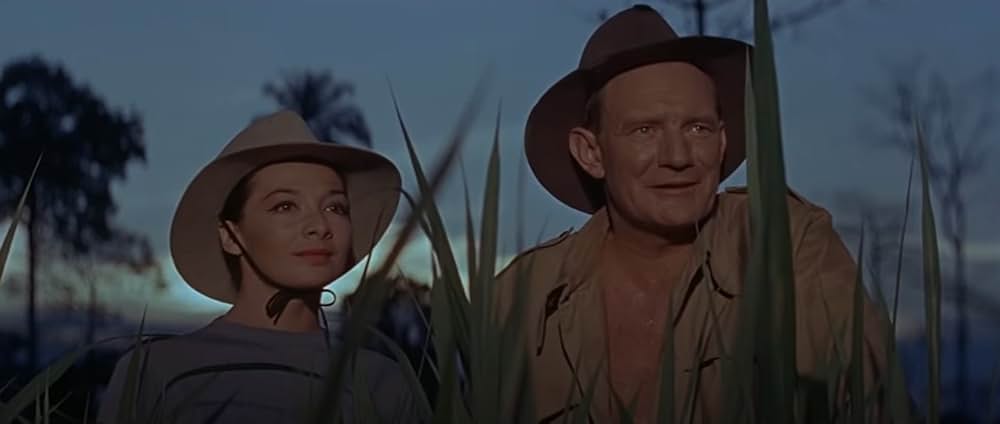 自由の大地の画像