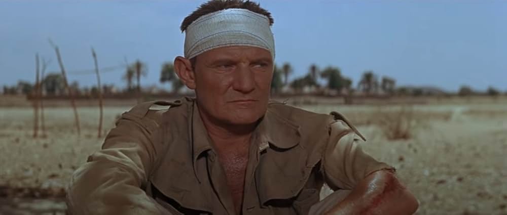 自由の大地の画像