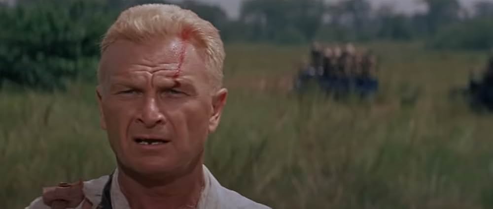 自由の大地の画像