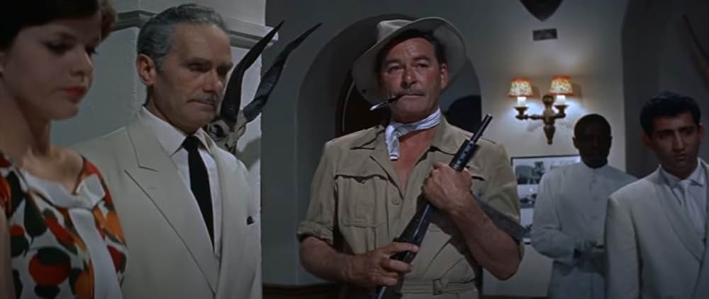 自由の大地の画像