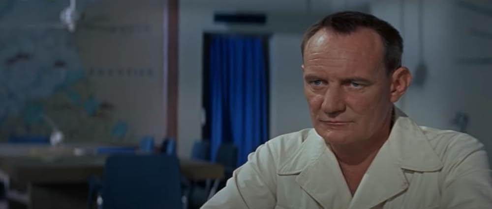 自由の大地の画像