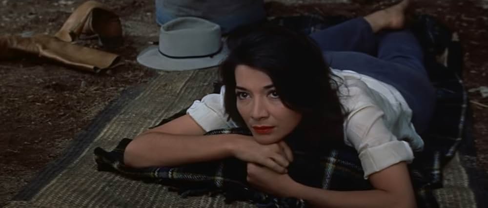 自由の大地の画像