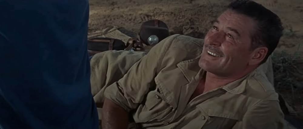 自由の大地の画像