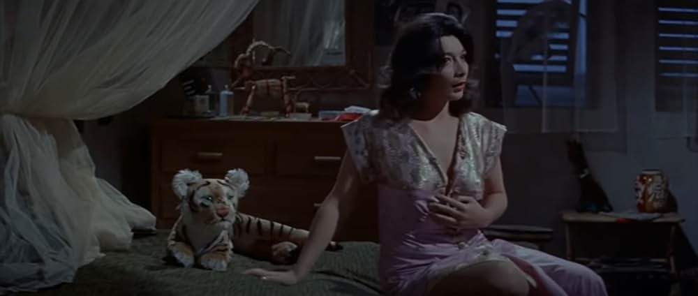 自由の大地の画像