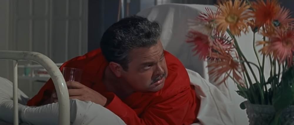 自由の大地の画像