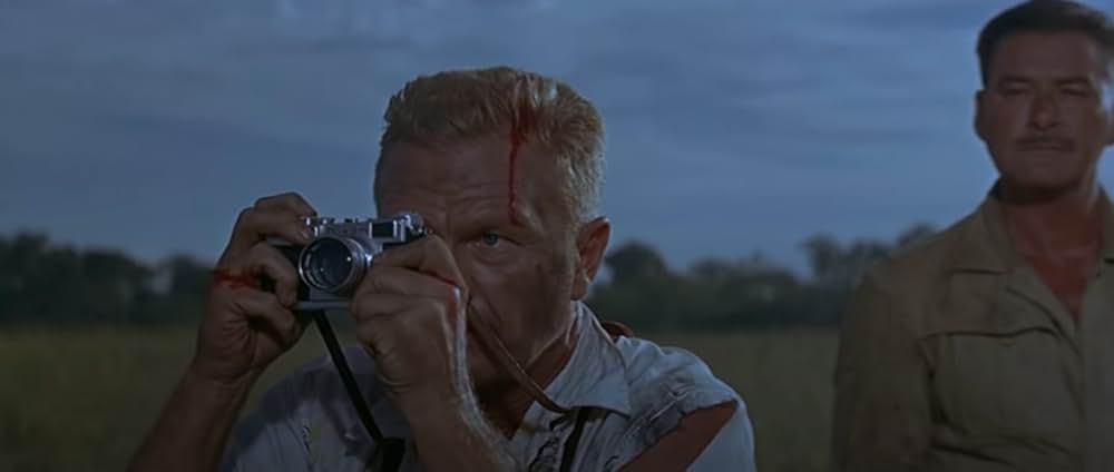 自由の大地の画像