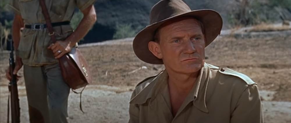 自由の大地の画像