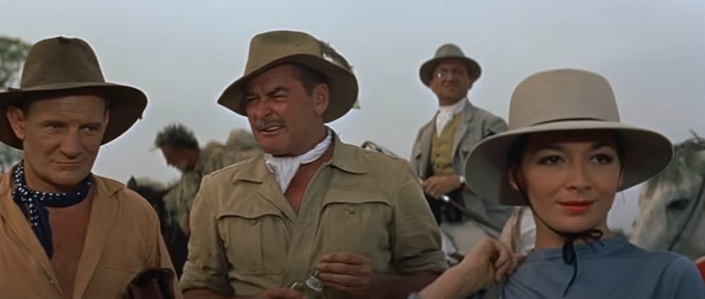 自由の大地の画像