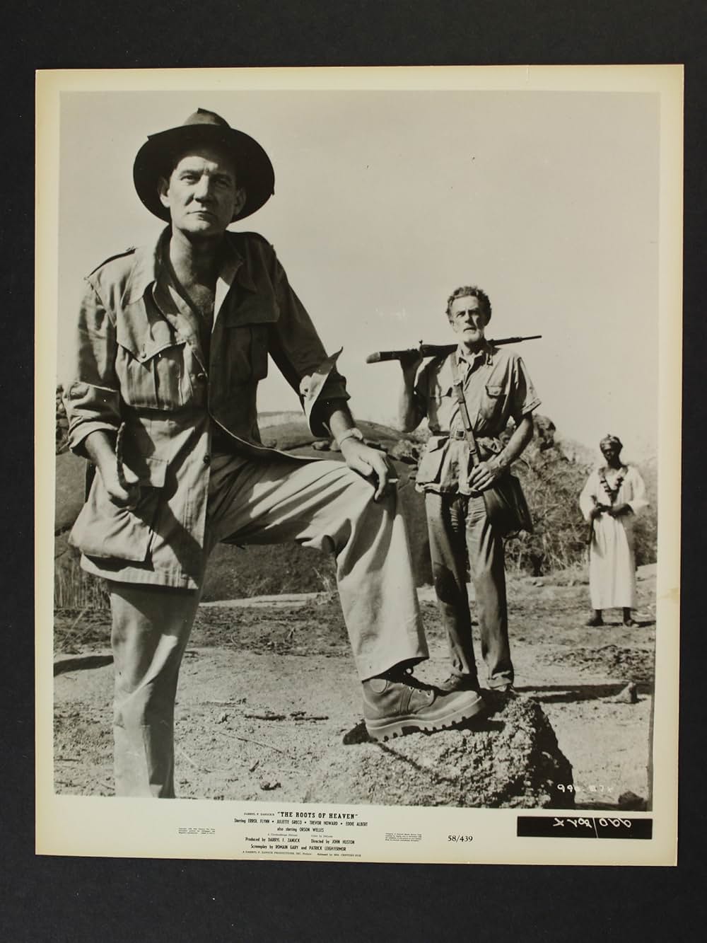 自由の大地の画像