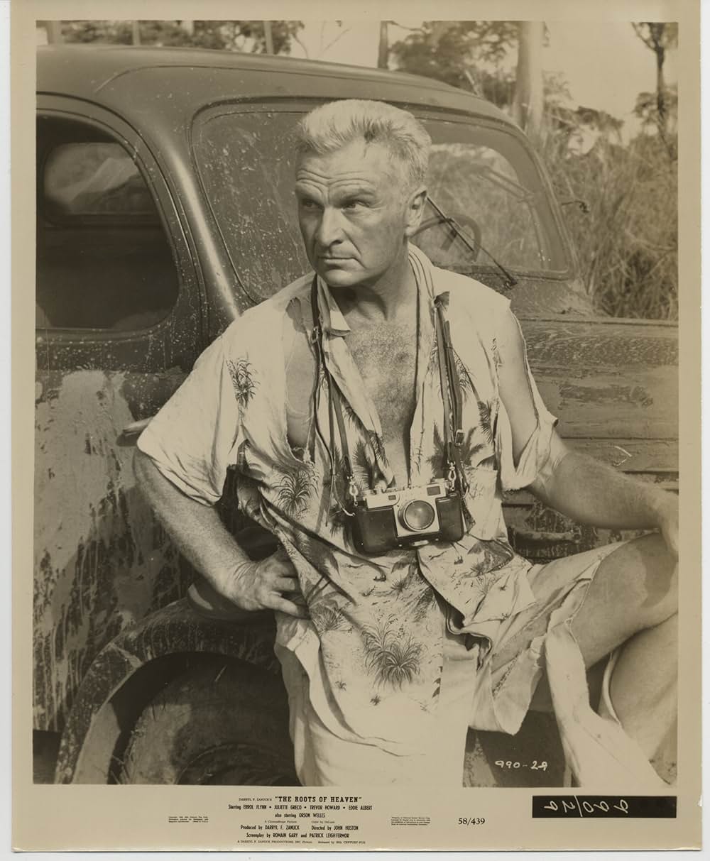 自由の大地の画像