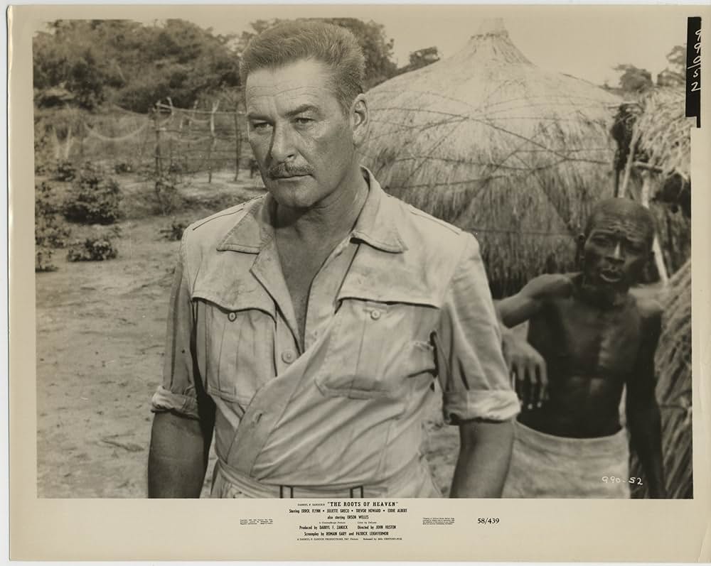 自由の大地の画像