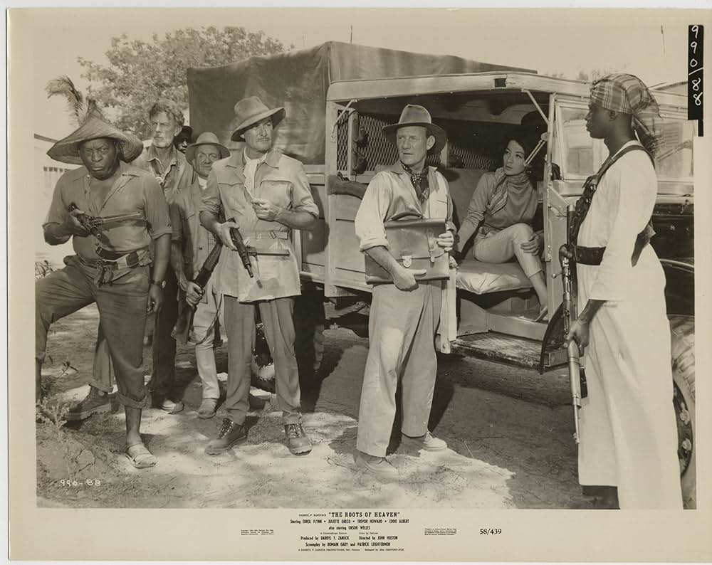 自由の大地の画像