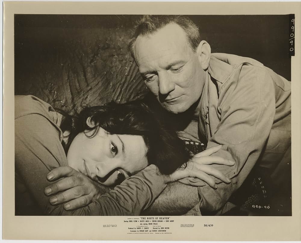 自由の大地の画像