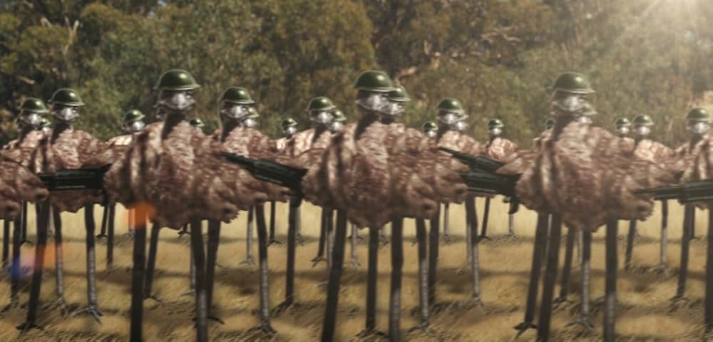 The Emu War（原題）の画像