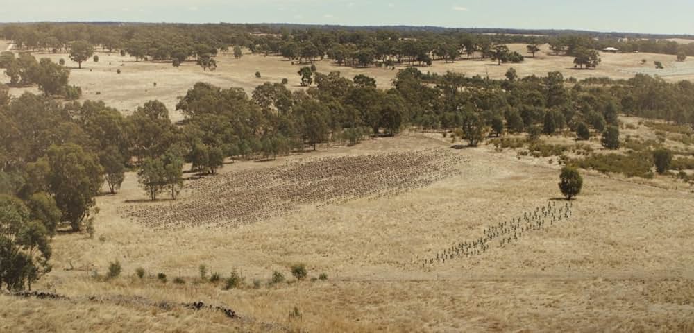 The Emu War（原題）の画像