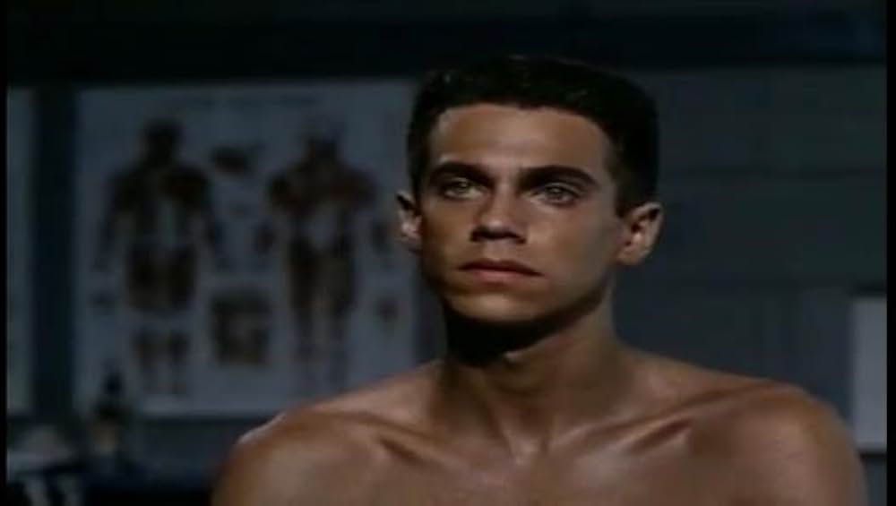 ロンリーウェイの画像