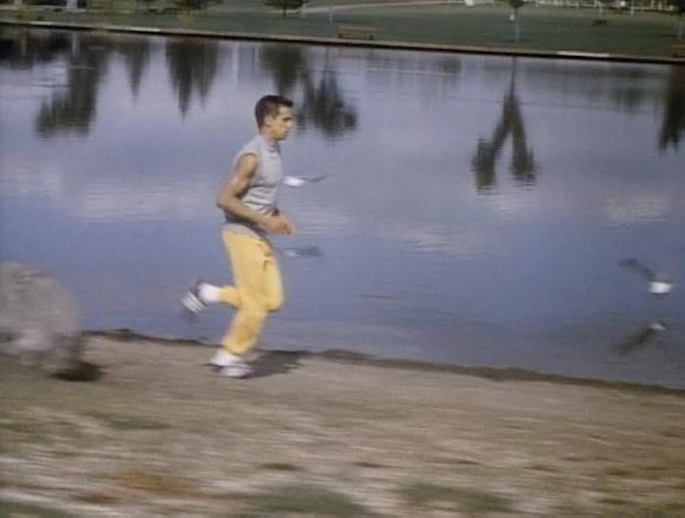 ロンリーウェイの画像