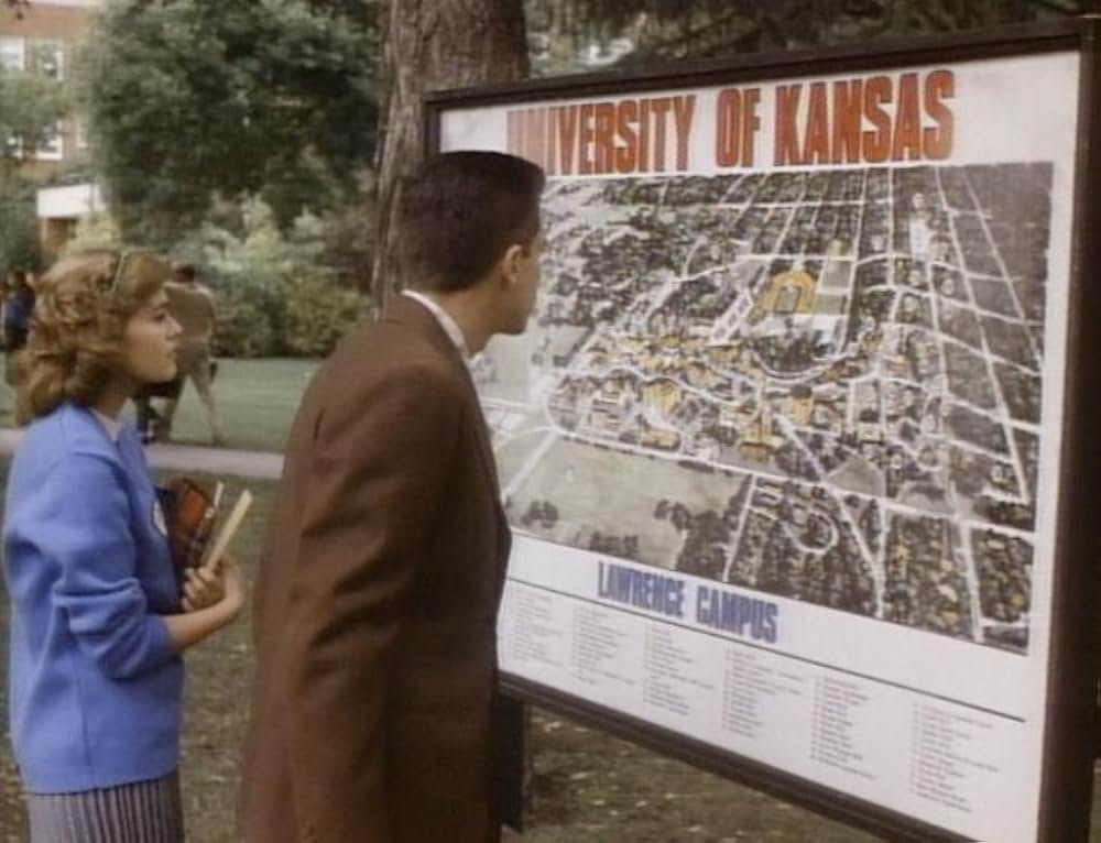 ロンリーウェイの画像