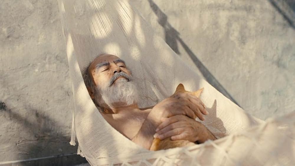 わが悲しき娼婦たちの思い出の画像