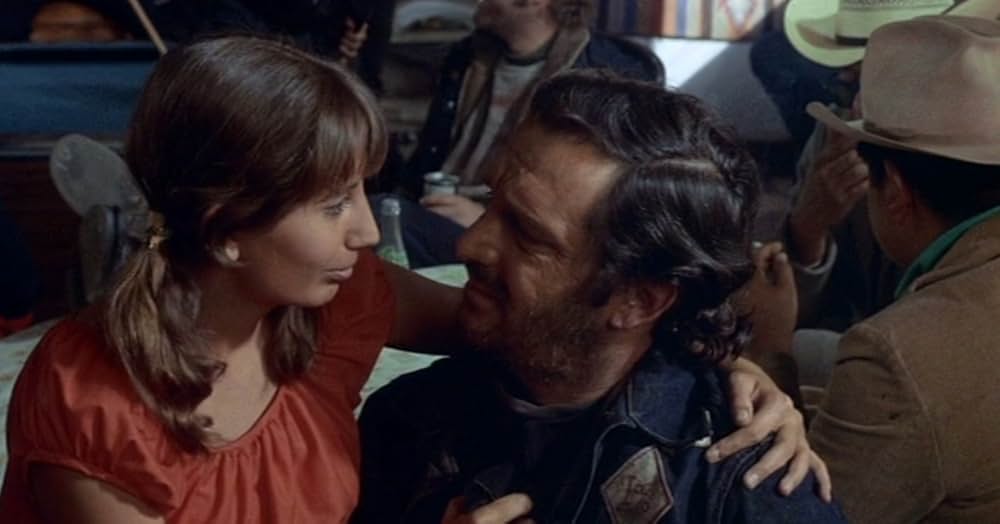 七人の無法者の画像