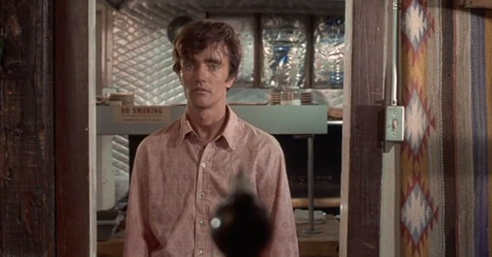 七人の無法者の画像