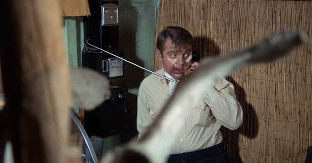 七人の無法者の画像