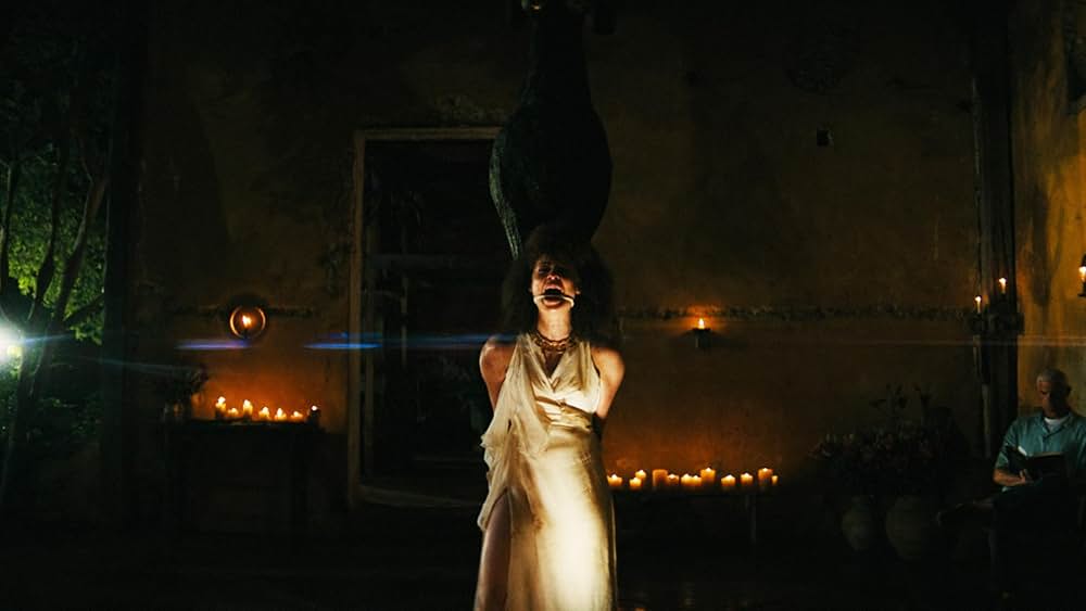 Blink Twice（原題）の画像