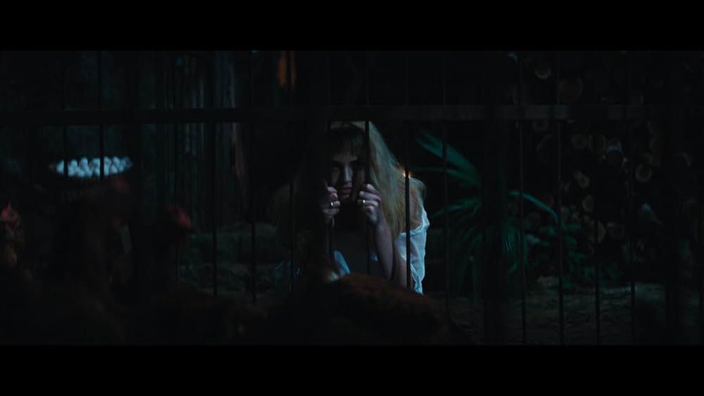 Blink Twice（原題）の画像