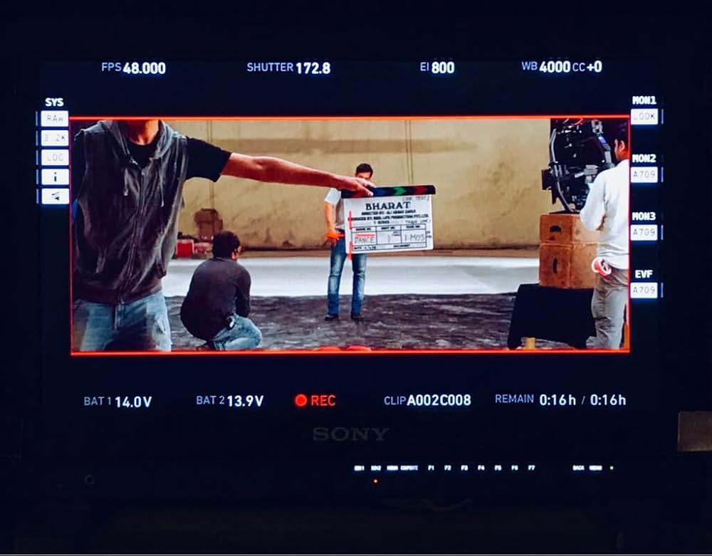 Bharat（原題）の画像