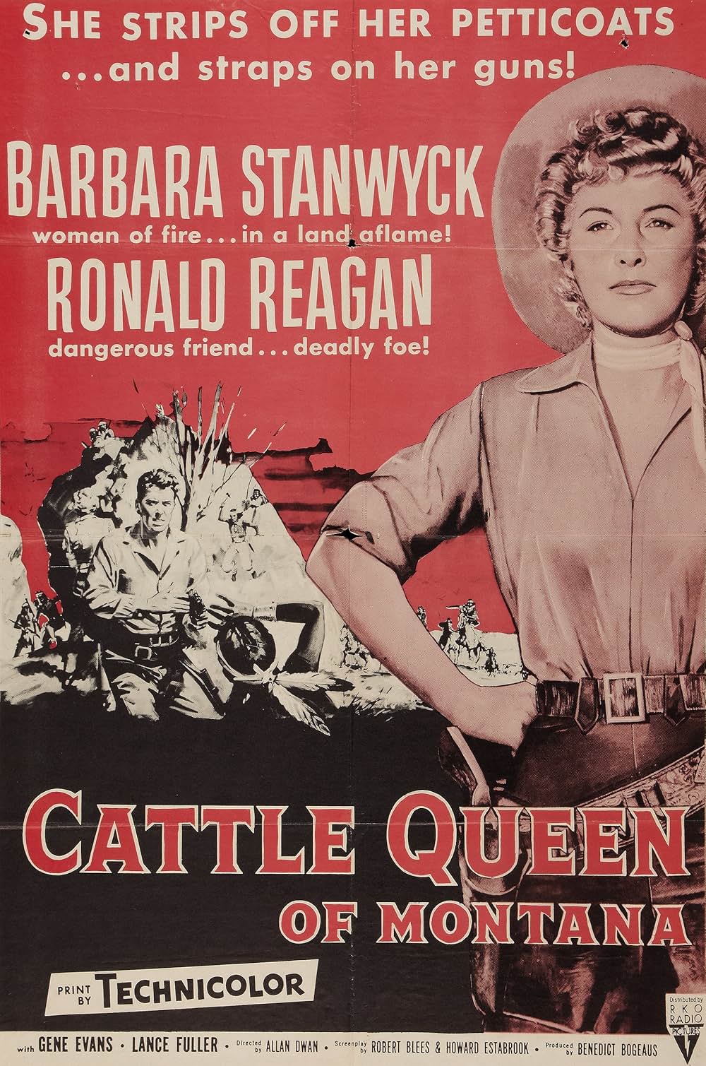 バファロウ平原の画像