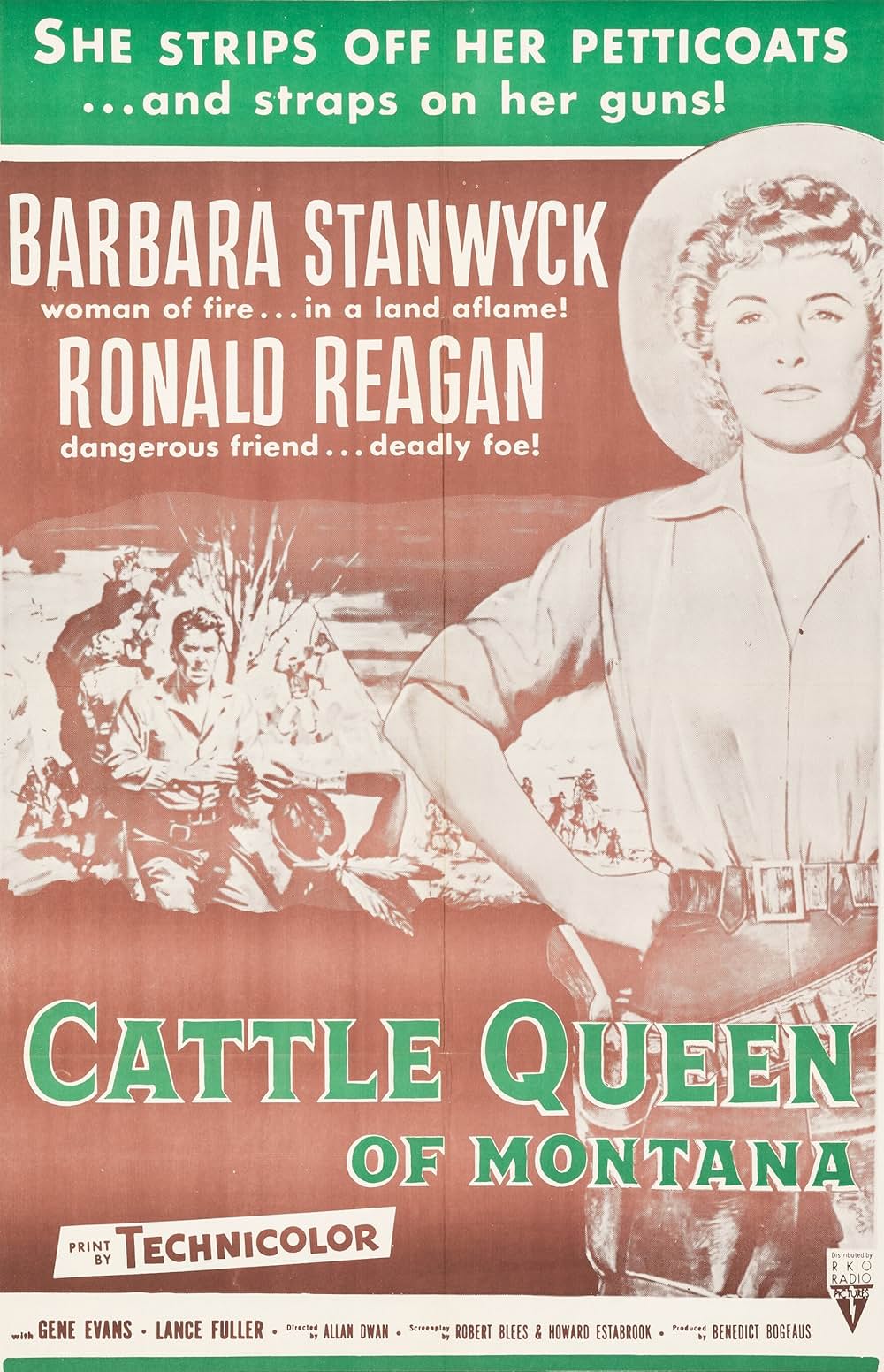 バファロウ平原の画像