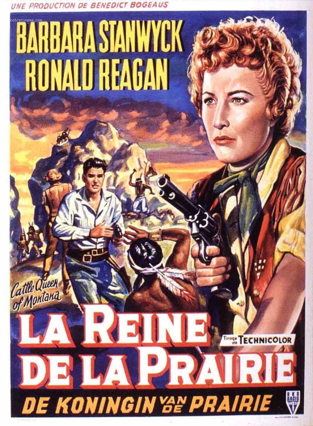 バファロウ平原の画像