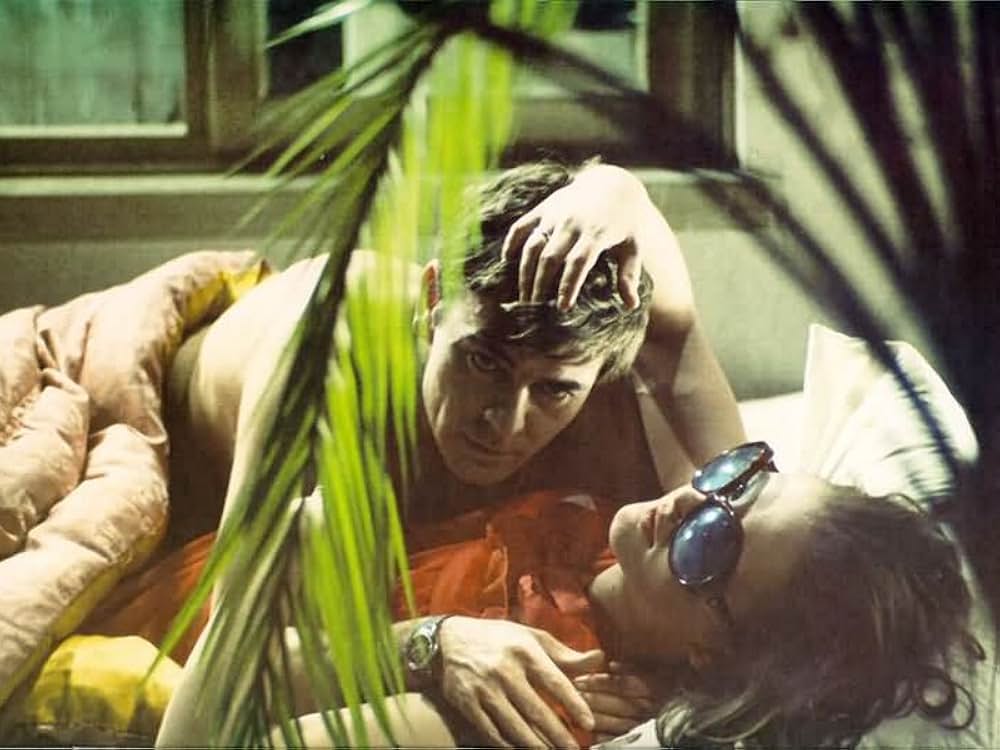 蝿取り紙の画像