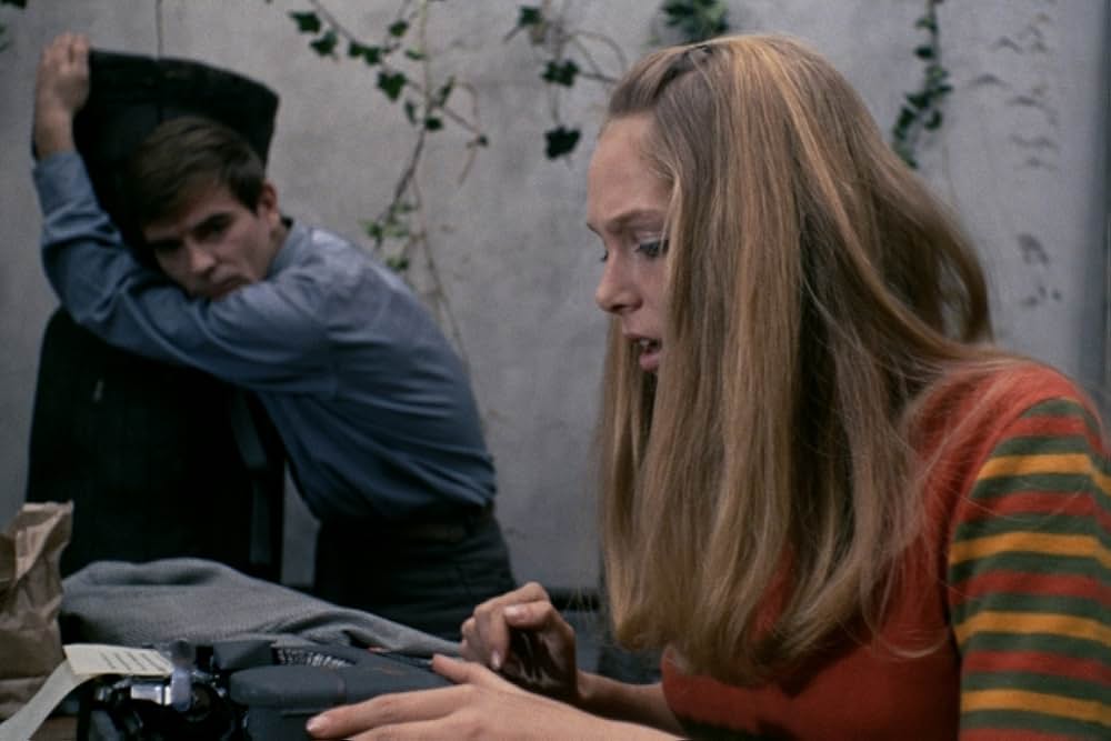 蝿取り紙の画像