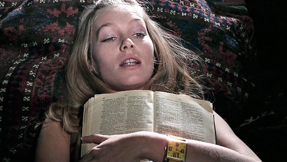 蝿取り紙の画像