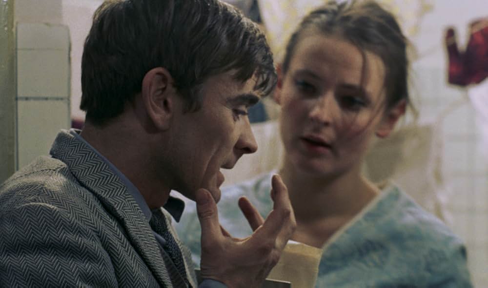 蝿取り紙の画像