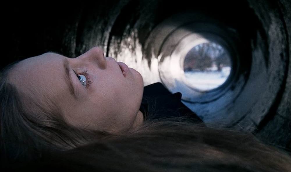 蝿取り紙の画像