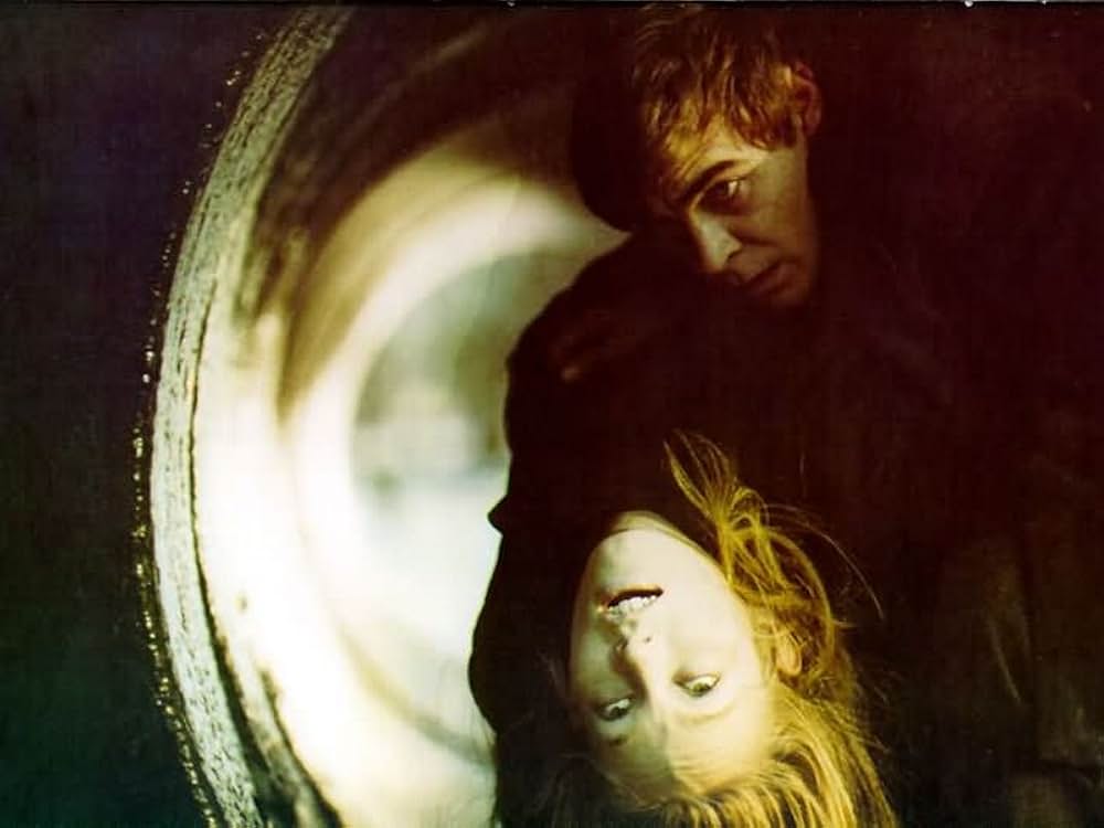 蝿取り紙の画像