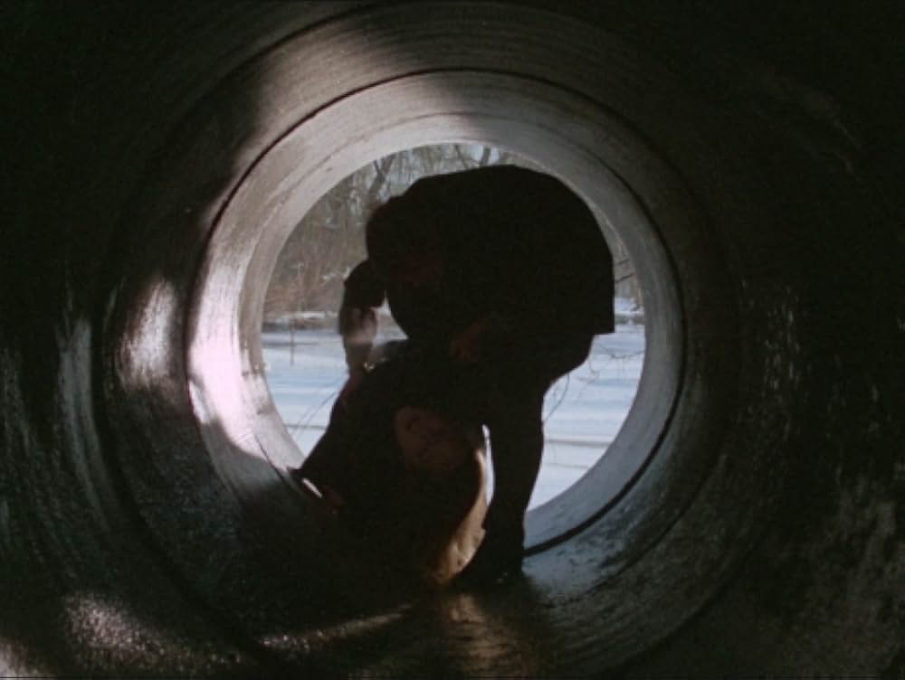 蝿取り紙の画像