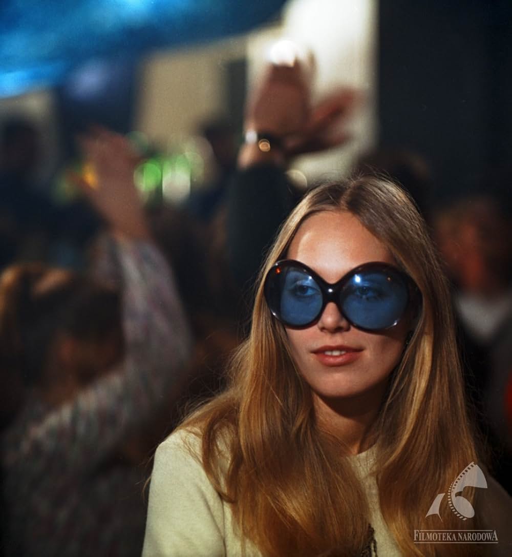 蝿取り紙の画像