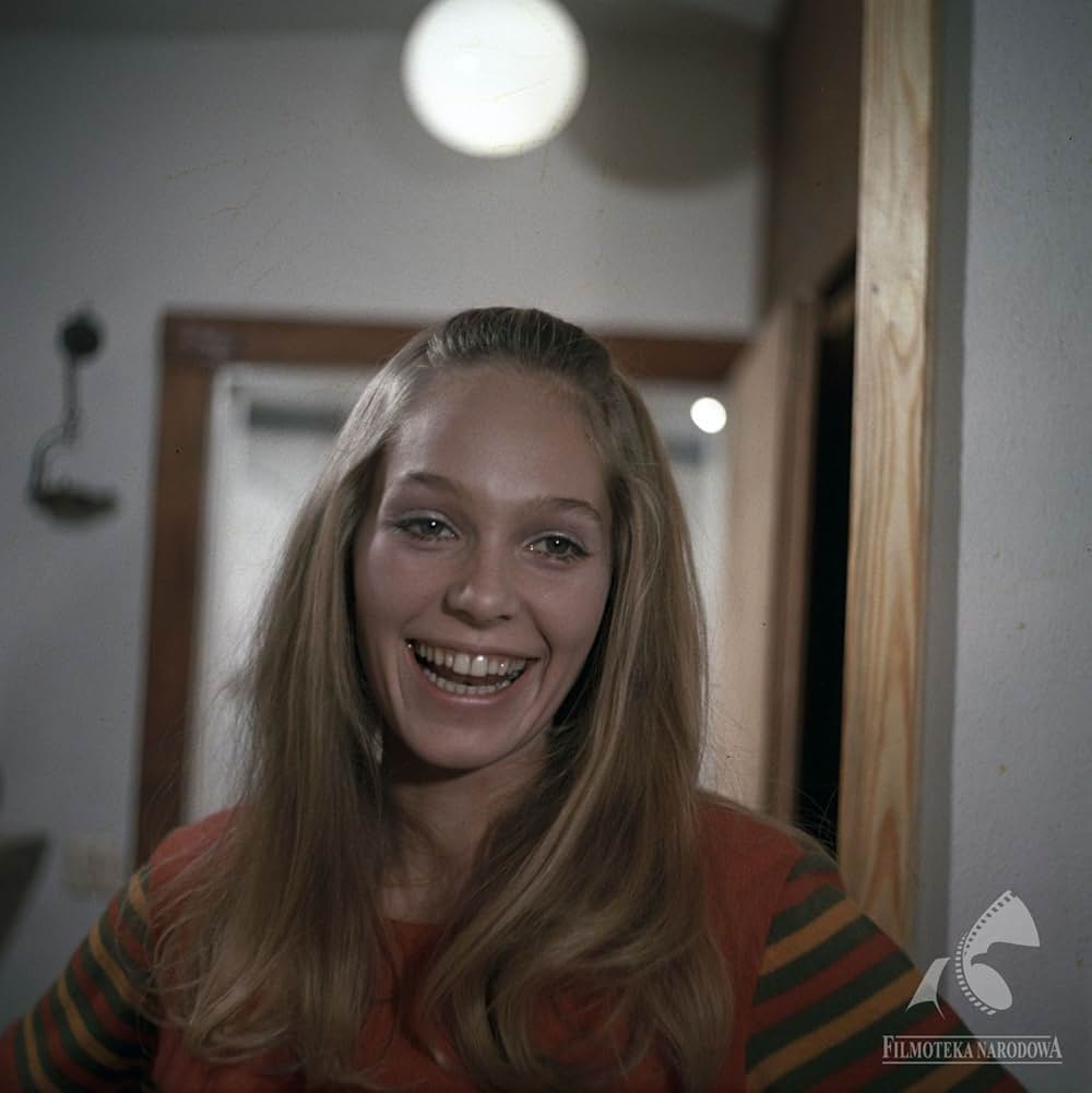 蝿取り紙の画像